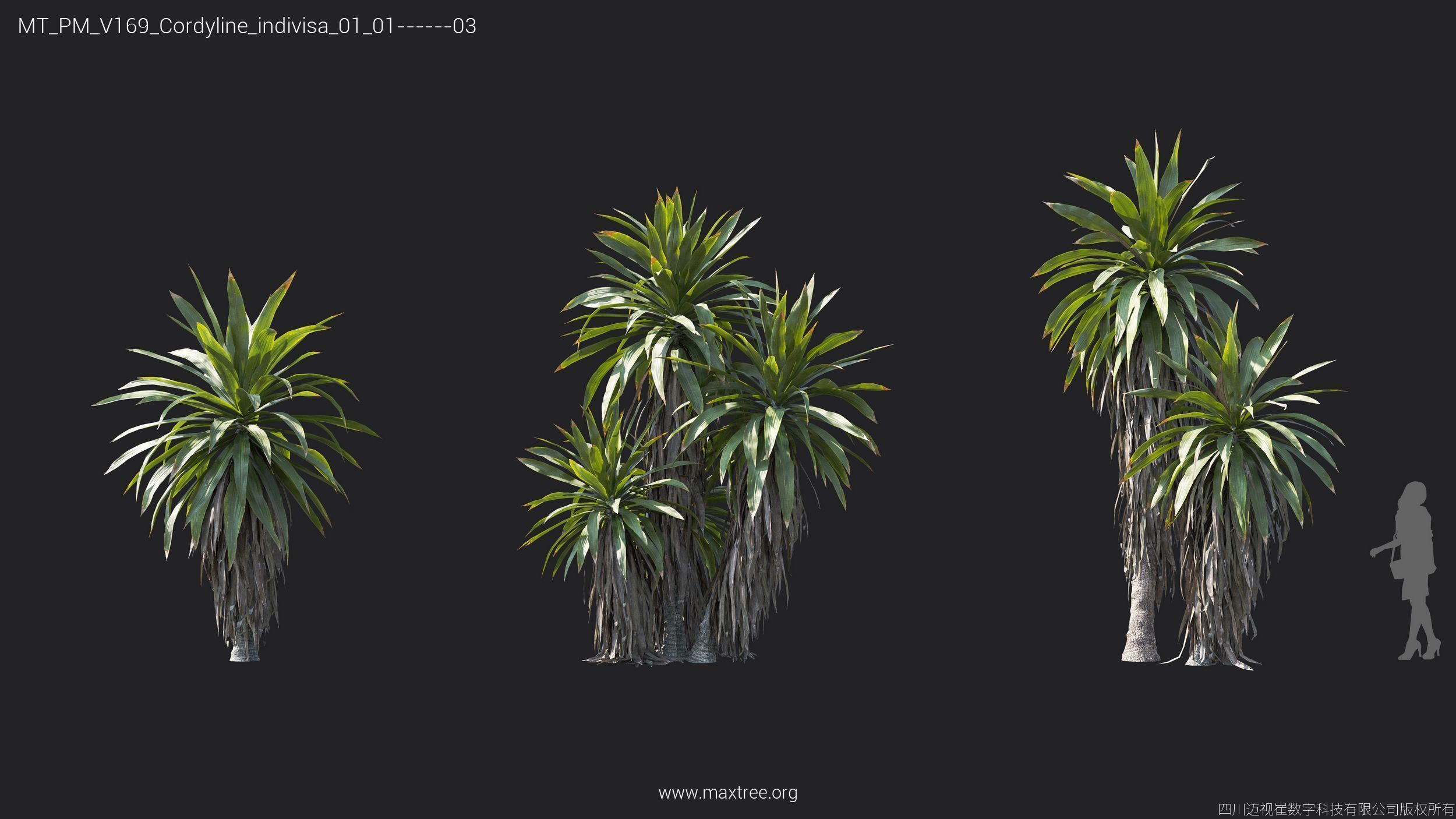 Maxtree Plant Models Vol 169 - Mesh 3D model_20