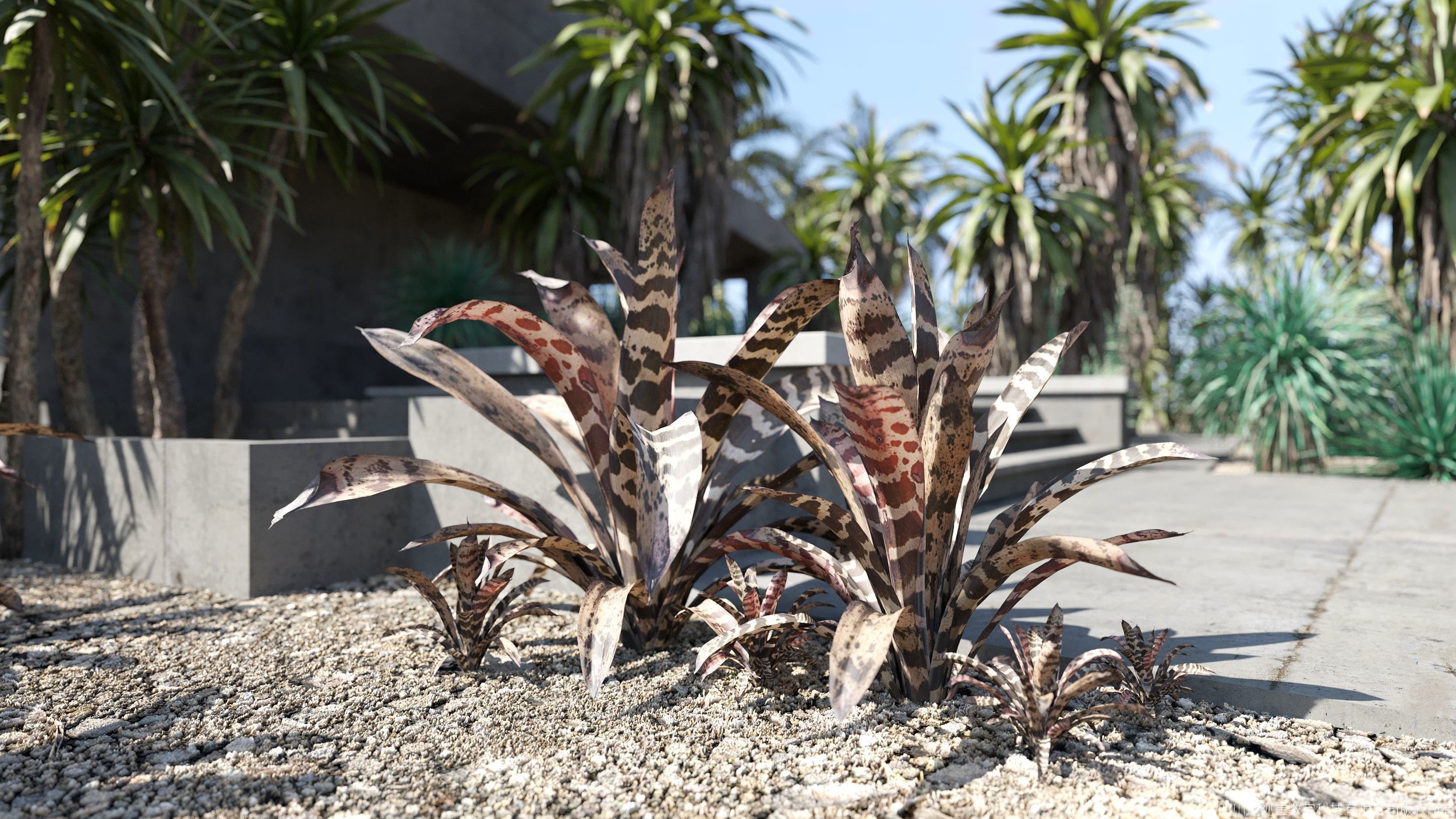 Maxtree Plant Models Vol 169 - Mesh 3D model_2