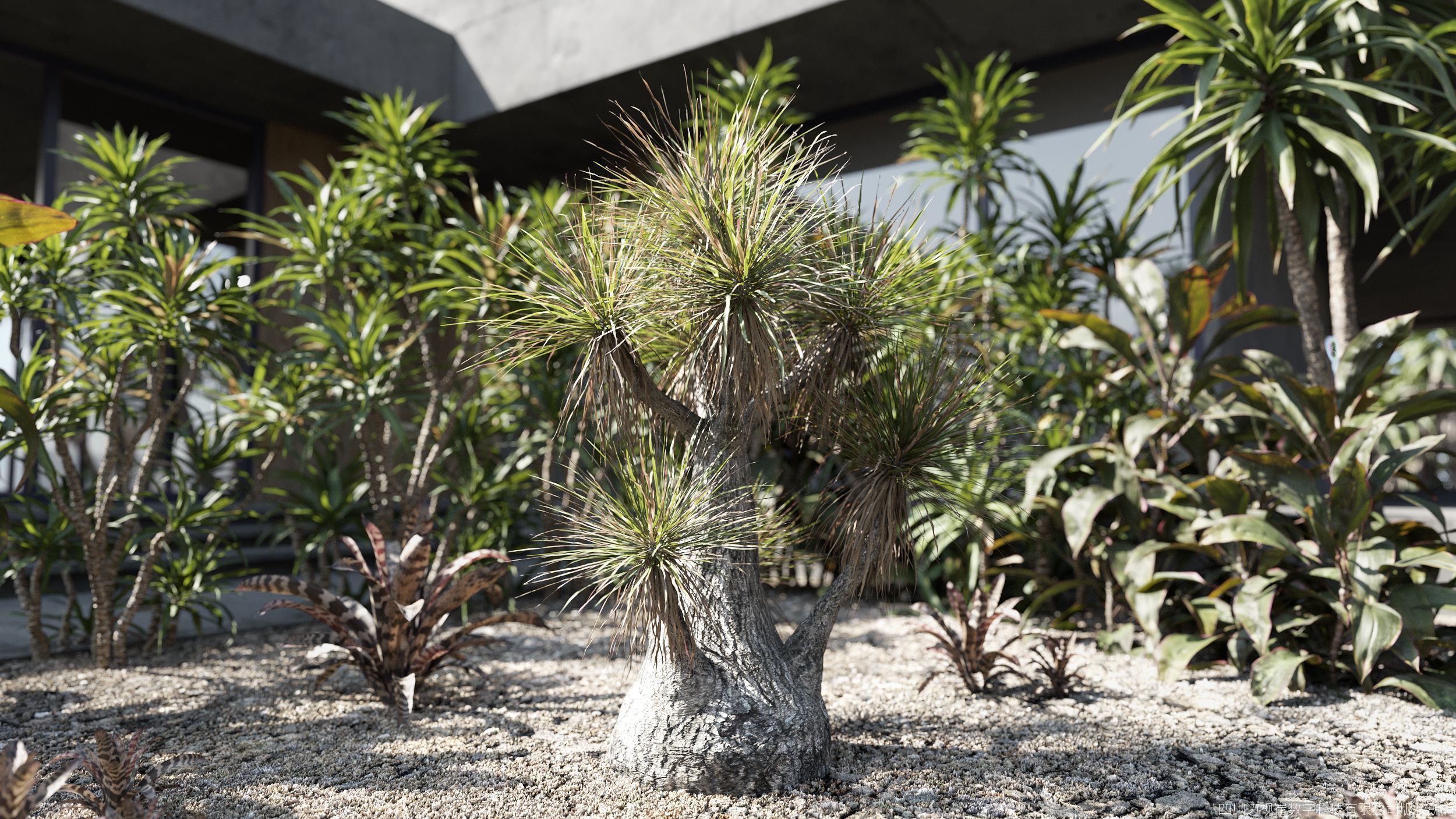 Maxtree Plant Models Vol 169 - Mesh 3D model_3