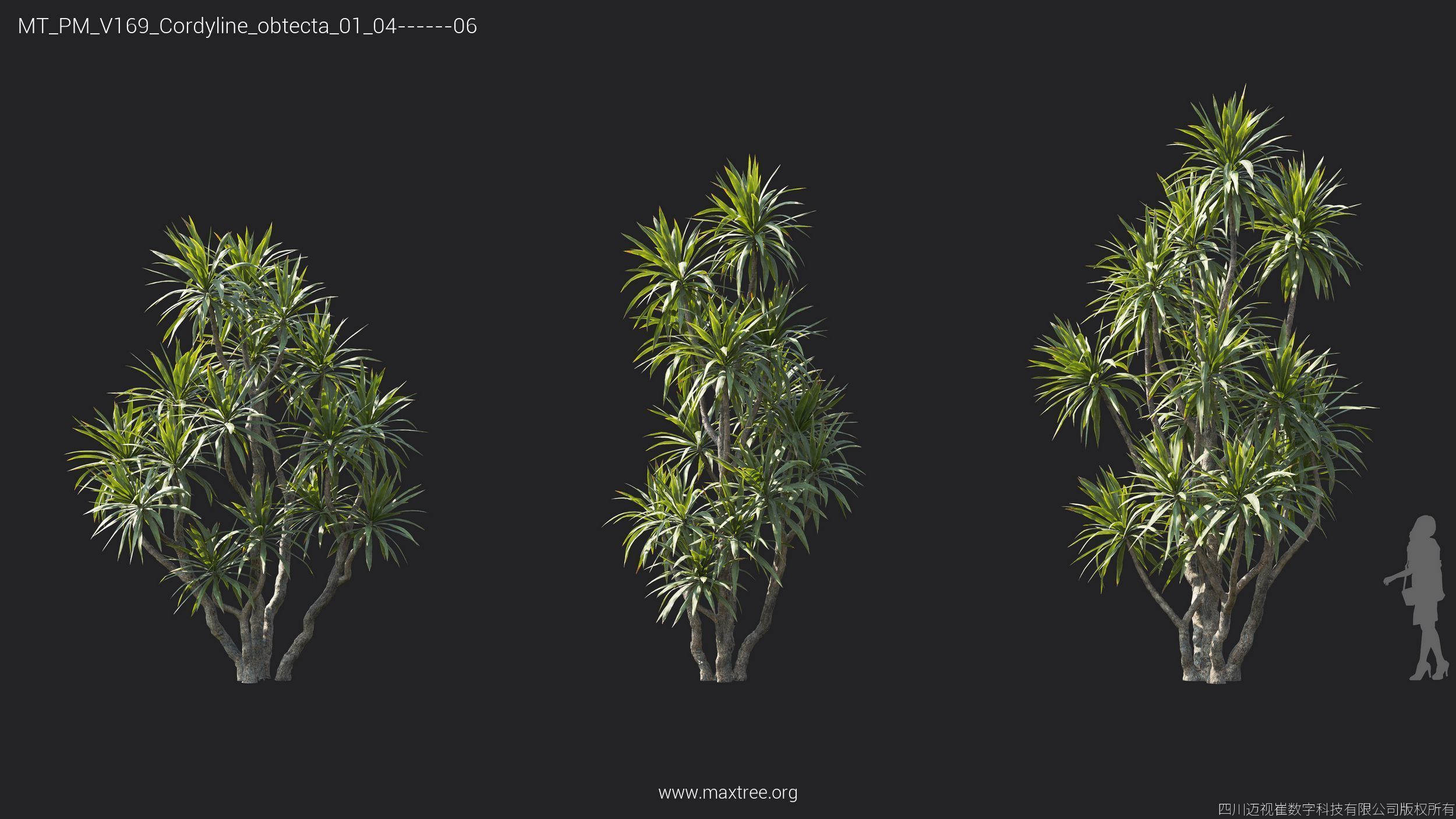 Maxtree Plant Models Vol 169 - Mesh 3D model_17