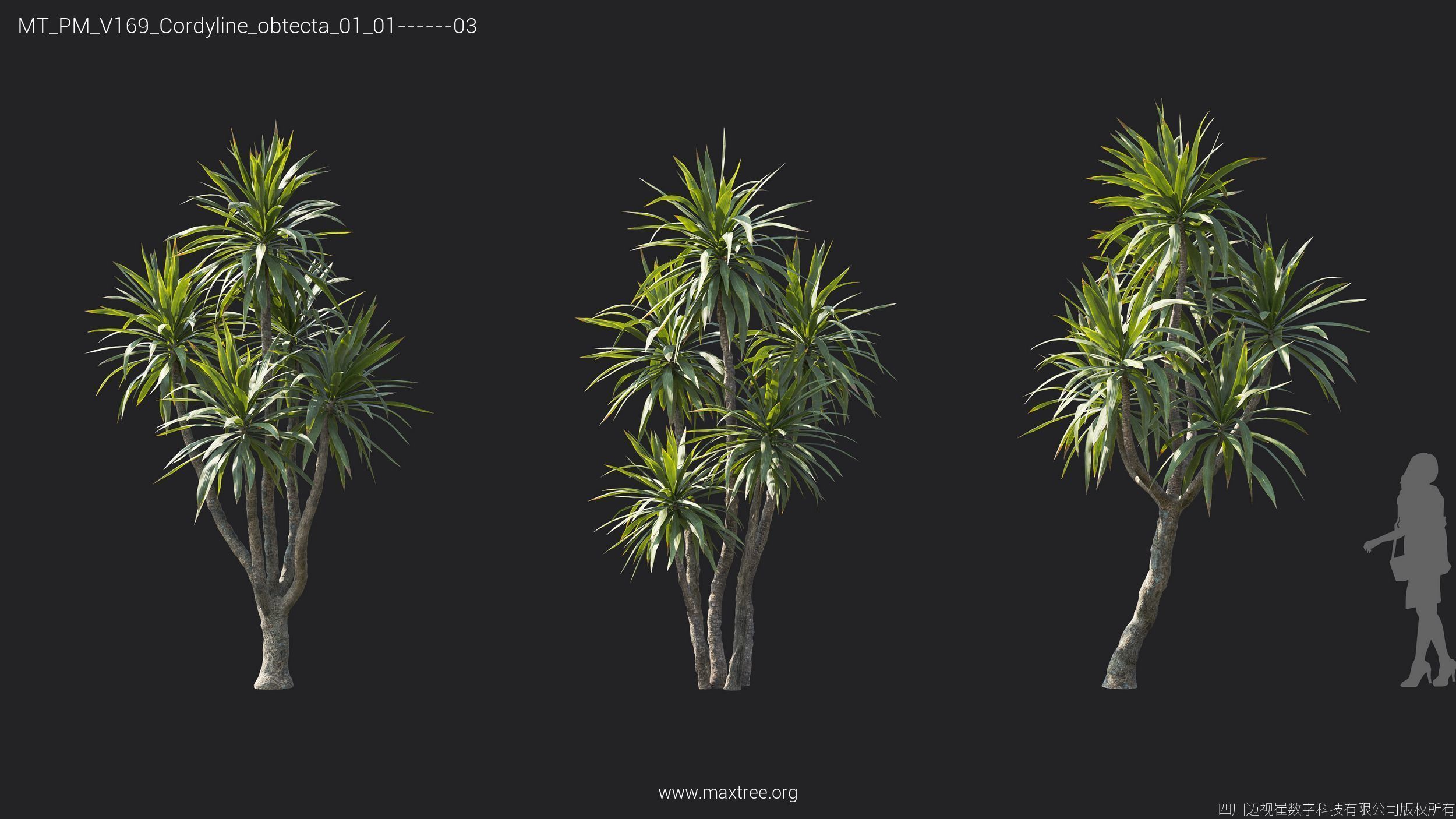 Maxtree Plant Models Vol 169 - Mesh 3D model_18