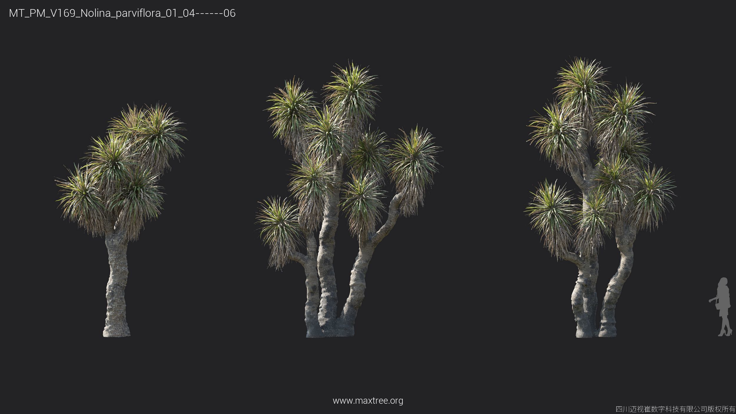 Maxtree Plant Models Vol 169 - Mesh 3D model_35