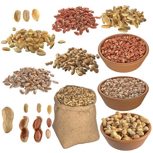 Peanut Mega Collection  Low-poly 3D model