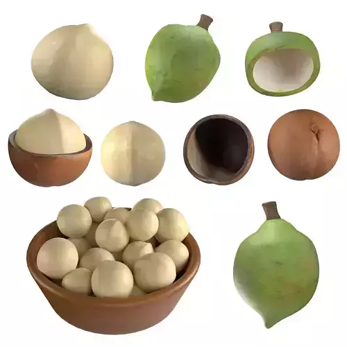  Macadamia Nut Collection  Low-poly 3D model