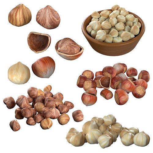 Hazelnut Mega Collection Low-poly 3D model