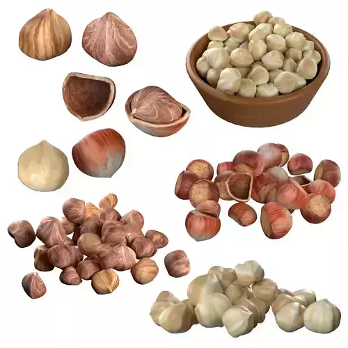 Hazelnut Mega Collection Low-poly 3D model
