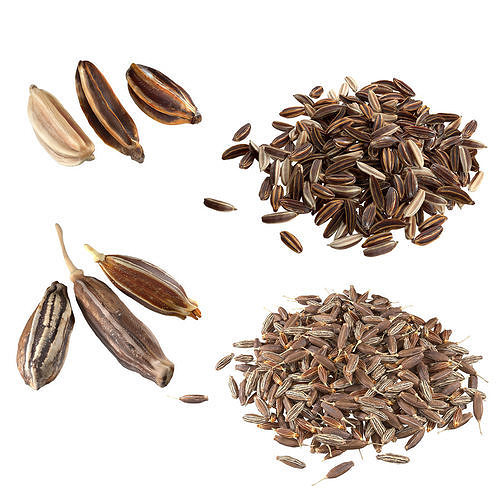 Cumin and Caray set  Low-poly 3D model