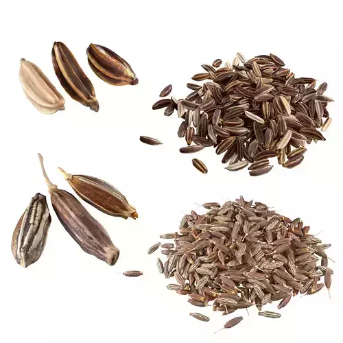 Cumin and Caray set  Low-poly 3D model