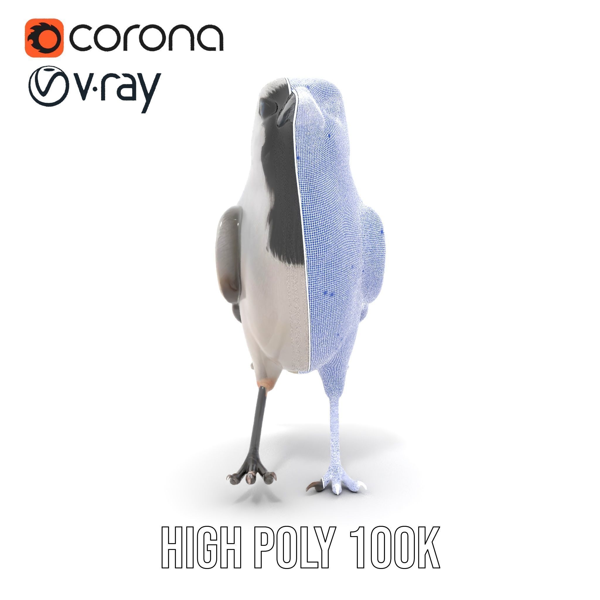 Grey Bird Model Pack for Realistic Simulation Low-poly 3D model_35