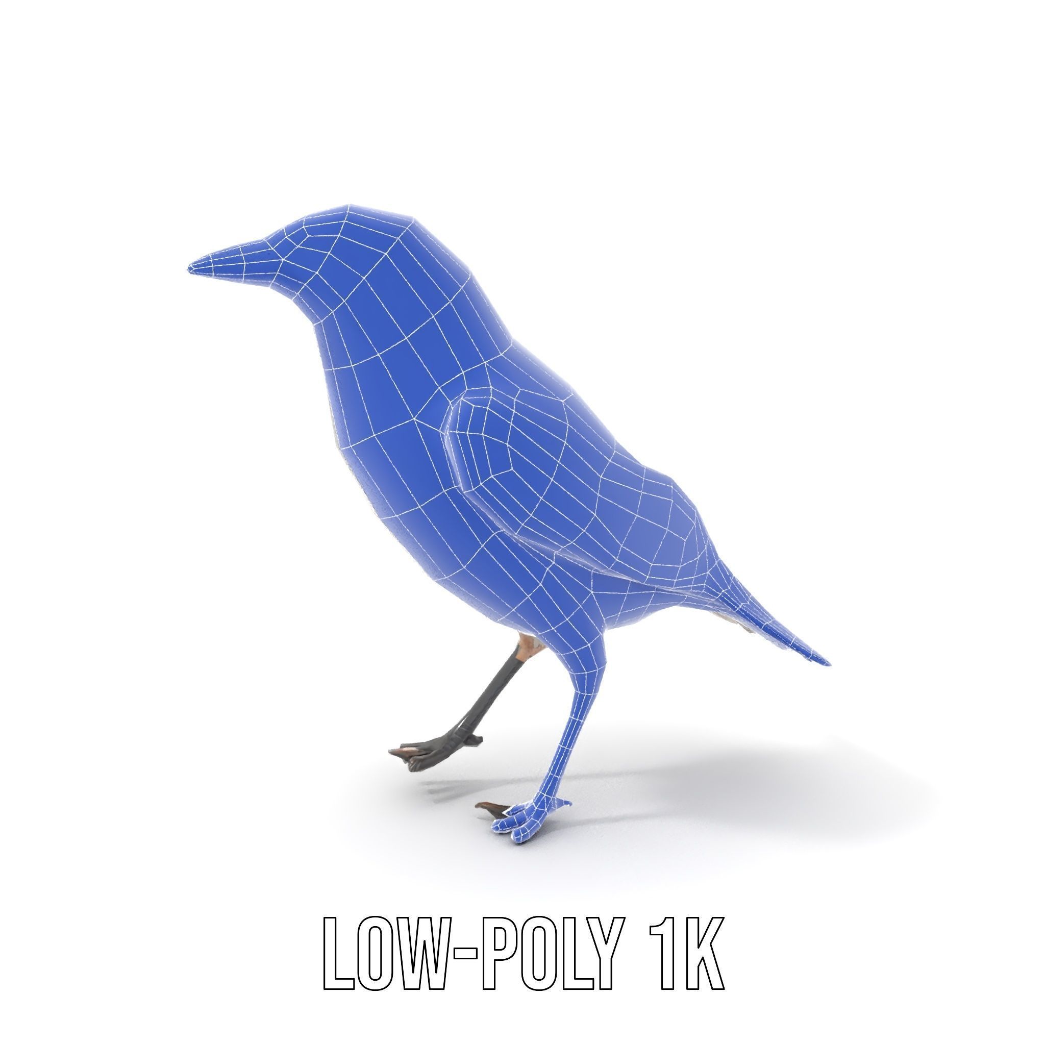Grey Bird Model Pack for Realistic Simulation Low-poly 3D model_15