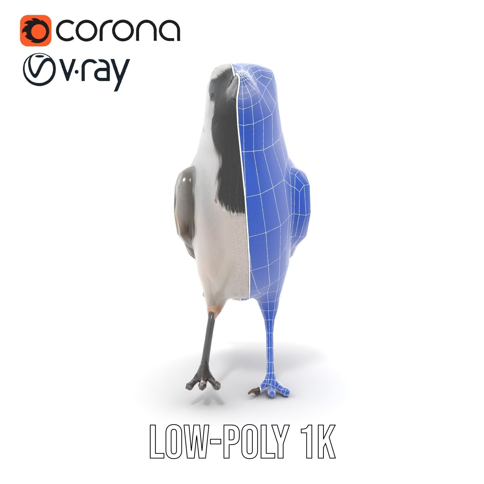 Grey Bird Model Pack for Realistic Simulation Low-poly 3D model_26