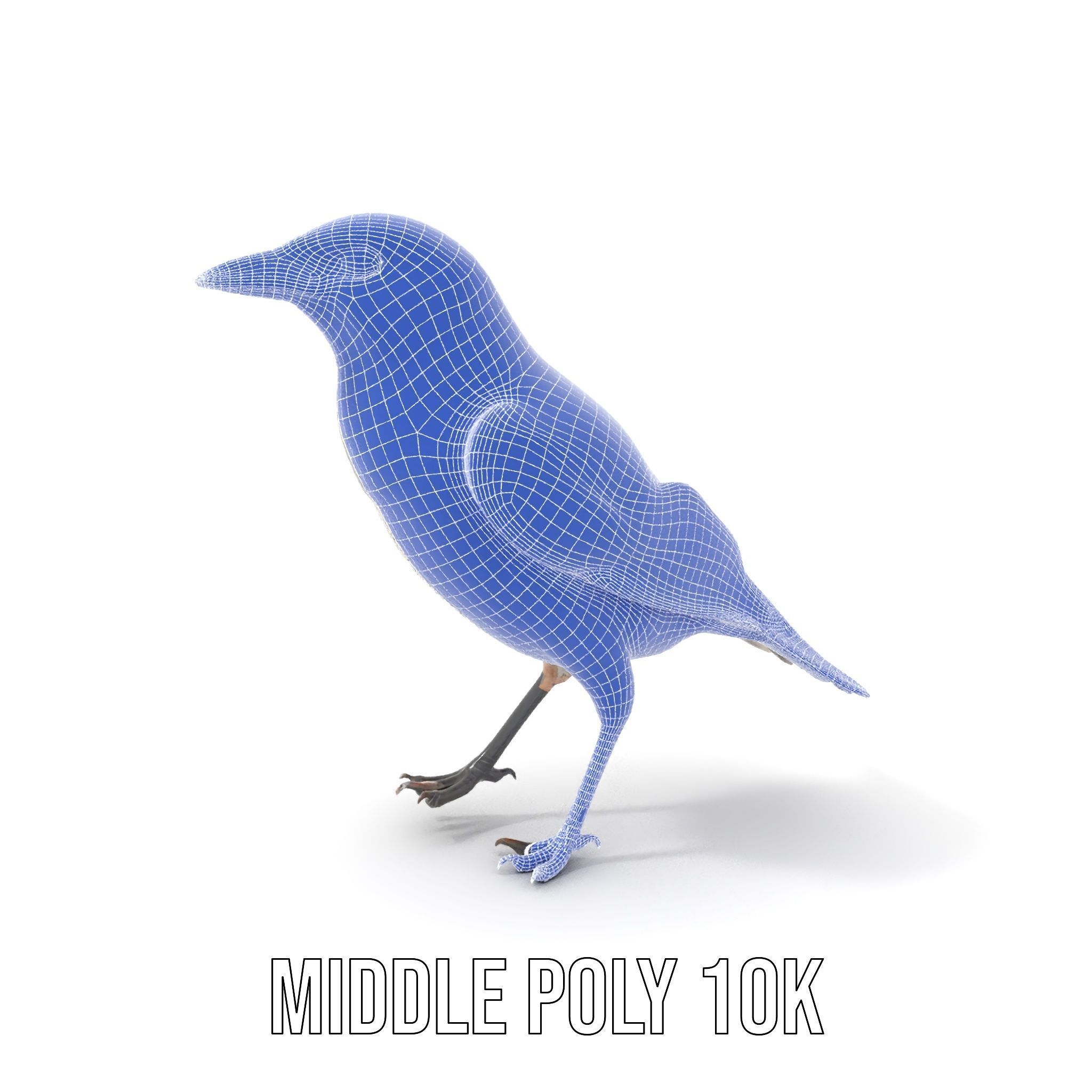 Grey Bird Model Pack for Realistic Simulation Low-poly 3D model_25