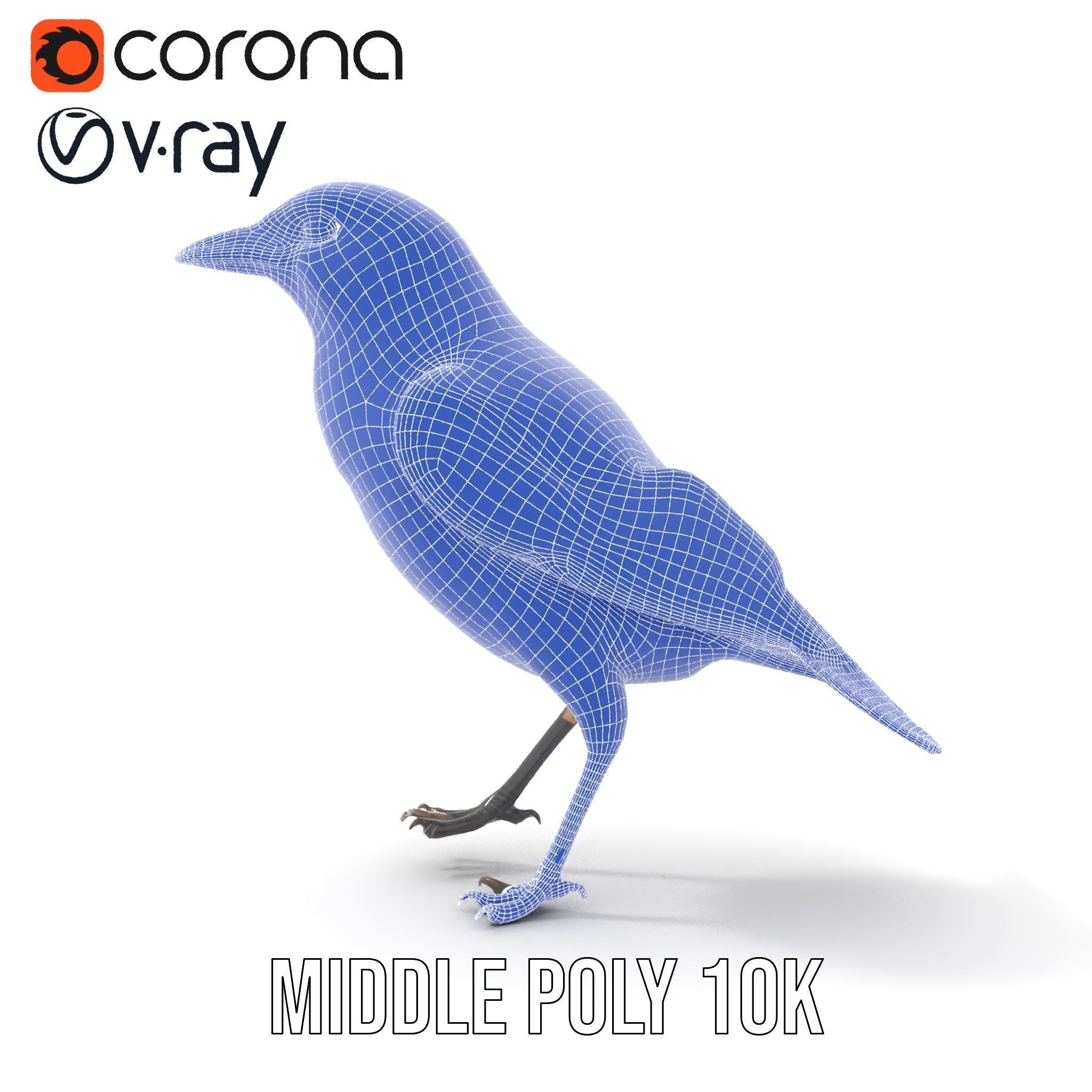 Grey Bird Model Pack for Realistic Simulation Low-poly 3D model_22