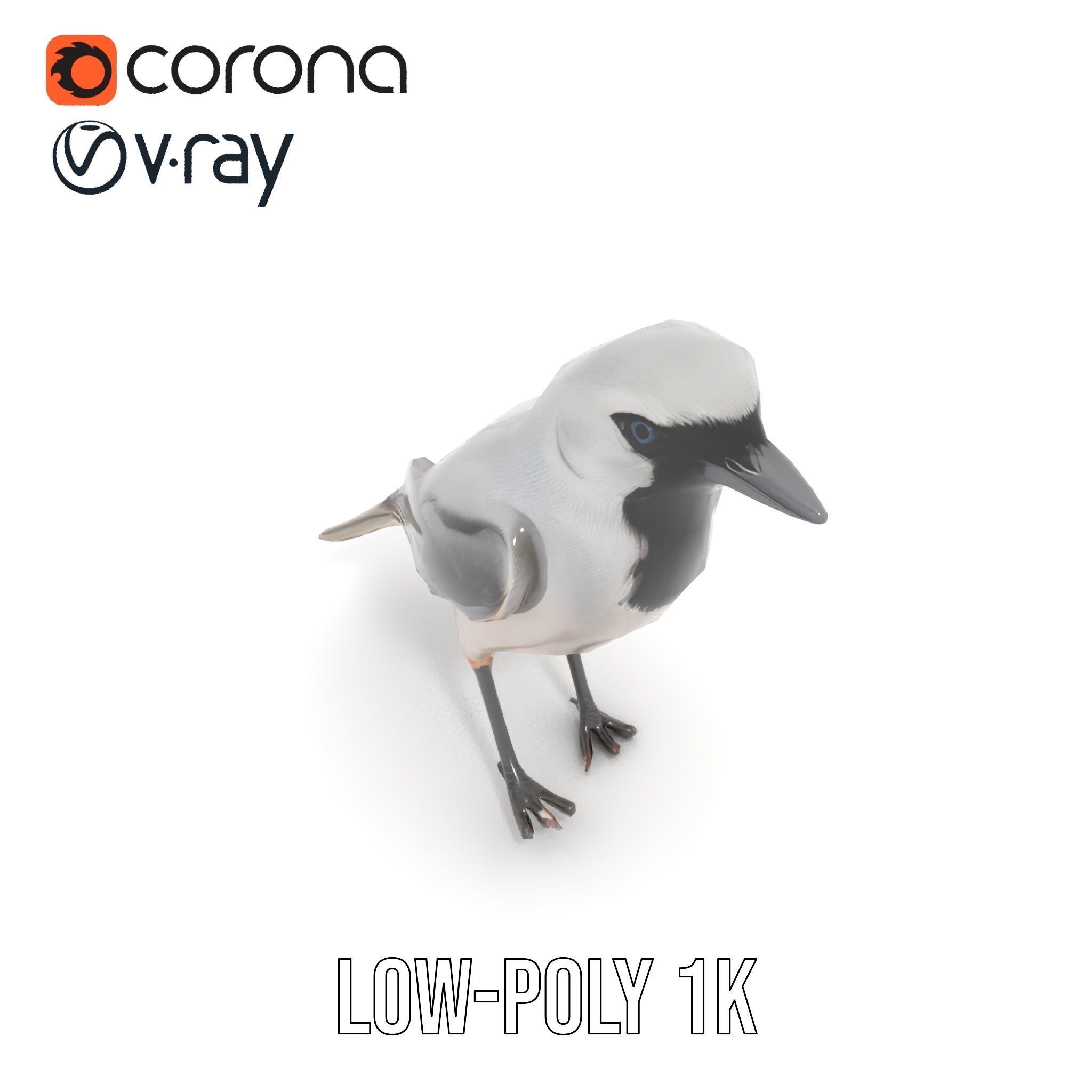 Grey Bird Model Pack for Realistic Simulation Low-poly 3D model_17