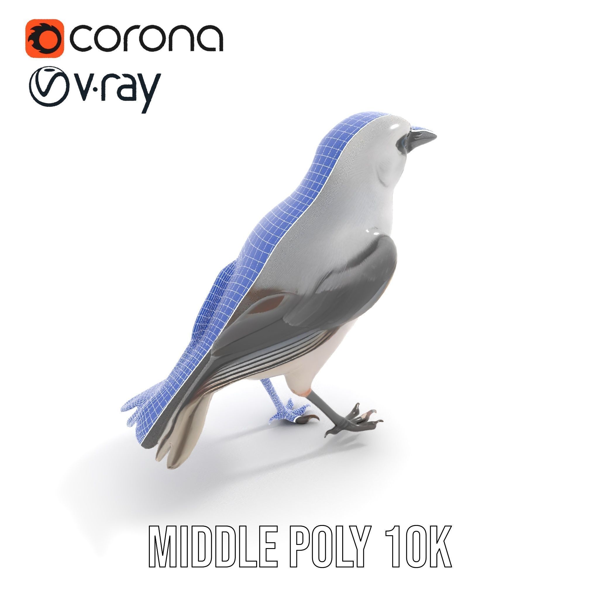 Grey Bird Model Pack for Realistic Simulation Low-poly 3D model_31