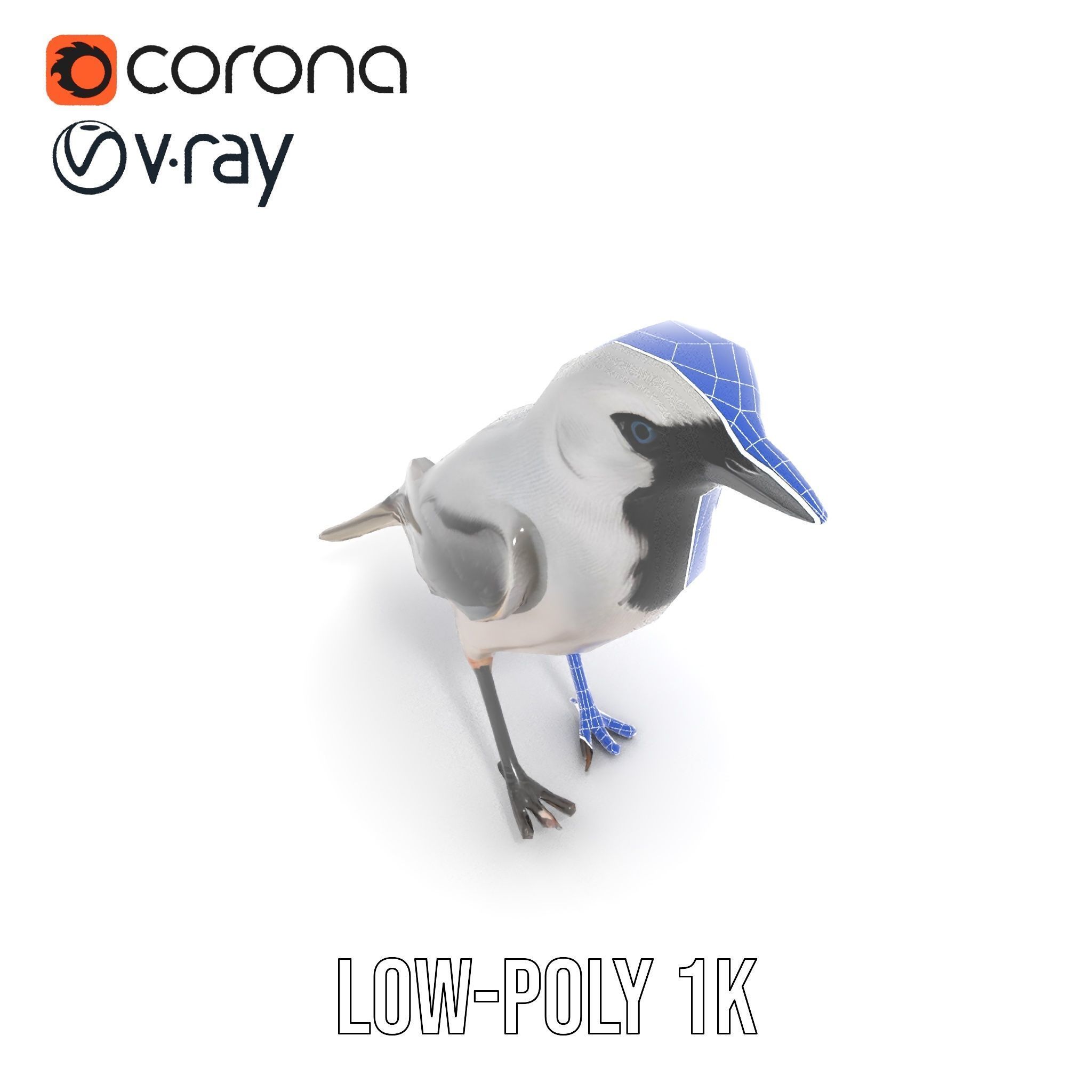 Grey Bird Model Pack for Realistic Simulation Low-poly 3D model_29