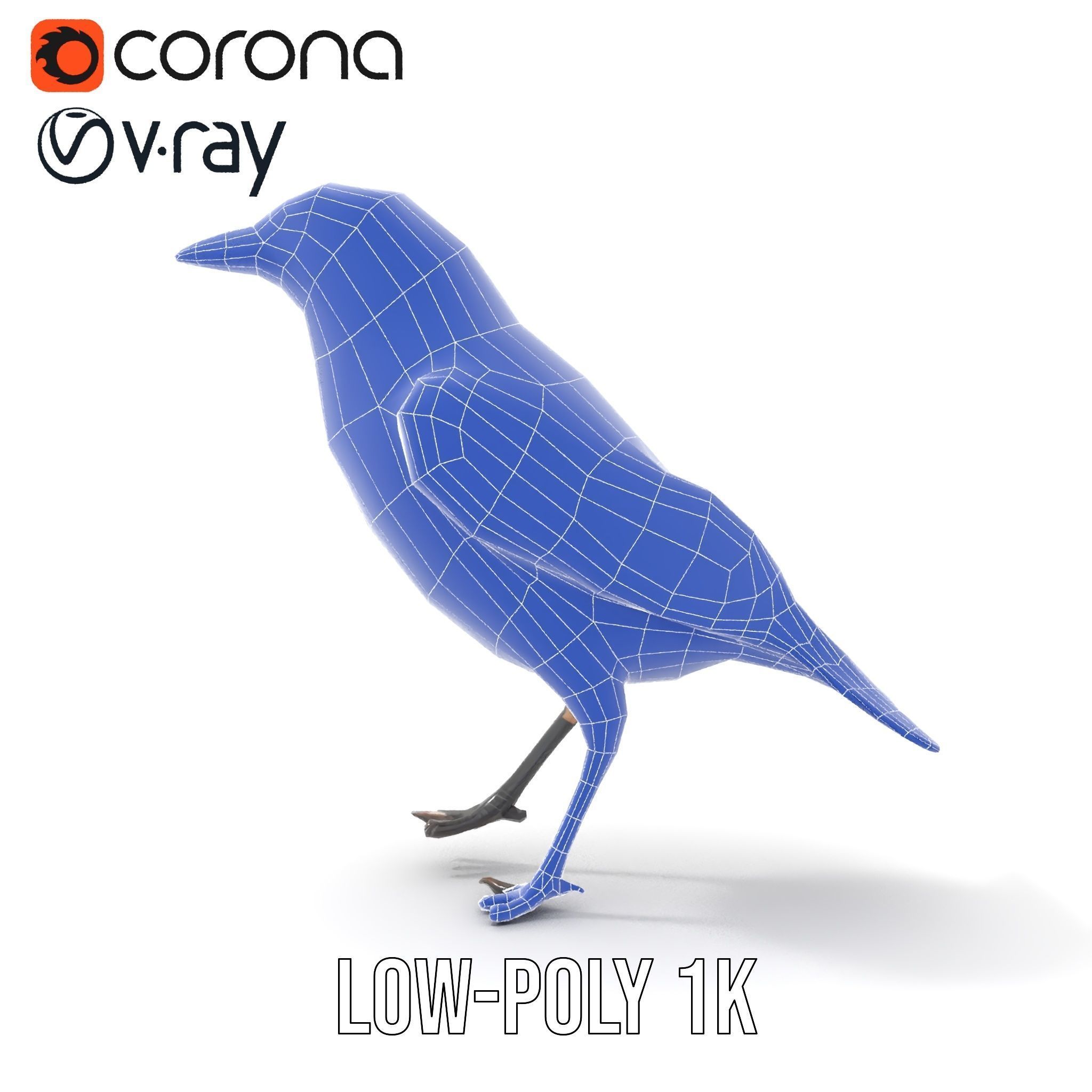 Grey Bird Model Pack for Realistic Simulation Low-poly 3D model_32