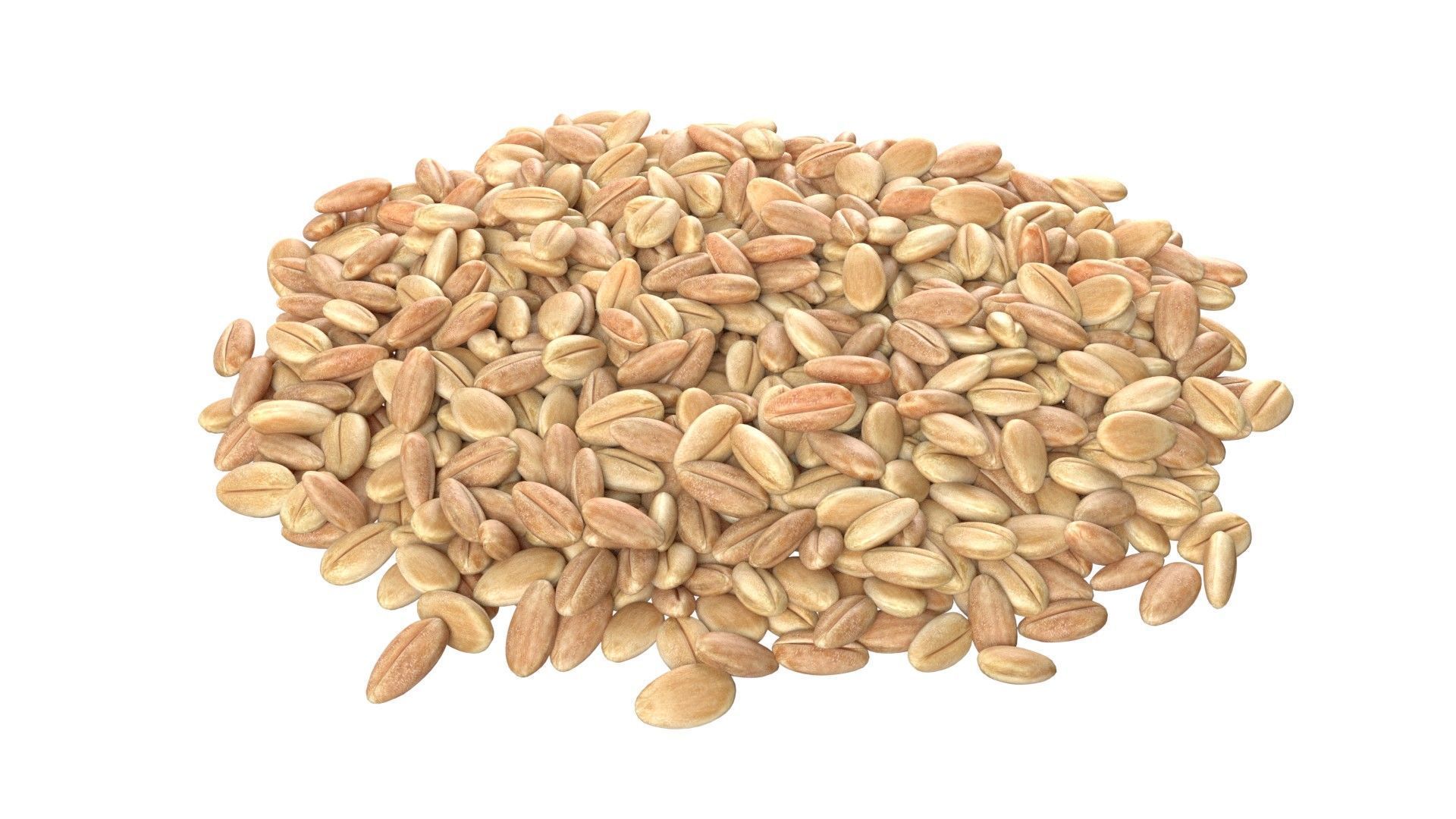 Grain pile Low-poly 3D model_2