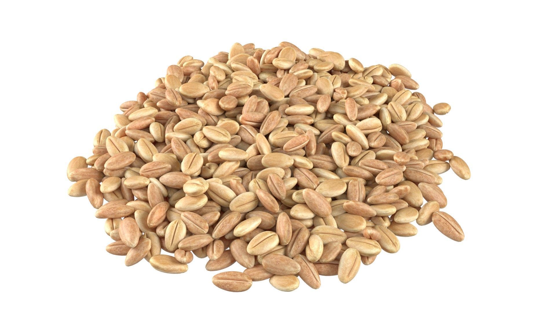 Grain pile Low-poly 3D model_1