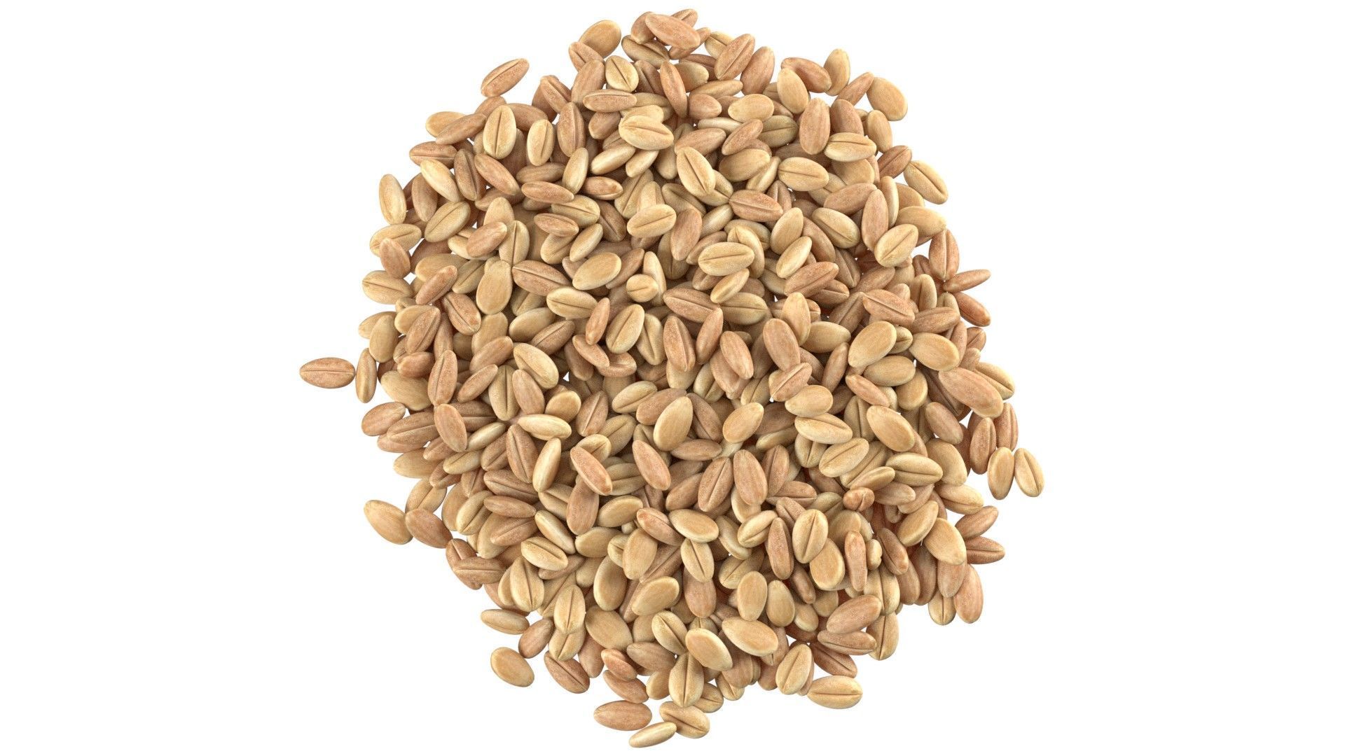 Grain pile Low-poly 3D model_3