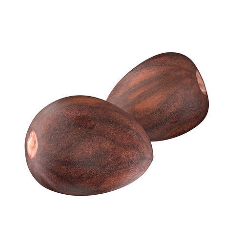 Avocado Seed Low-poly 3D model