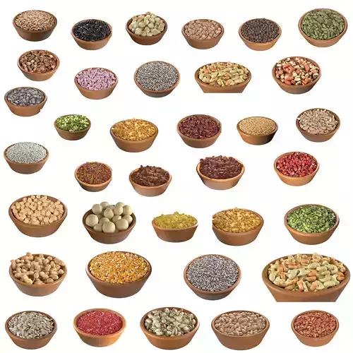 Seeds Grain Beans Nuts Mega Bowl collection 