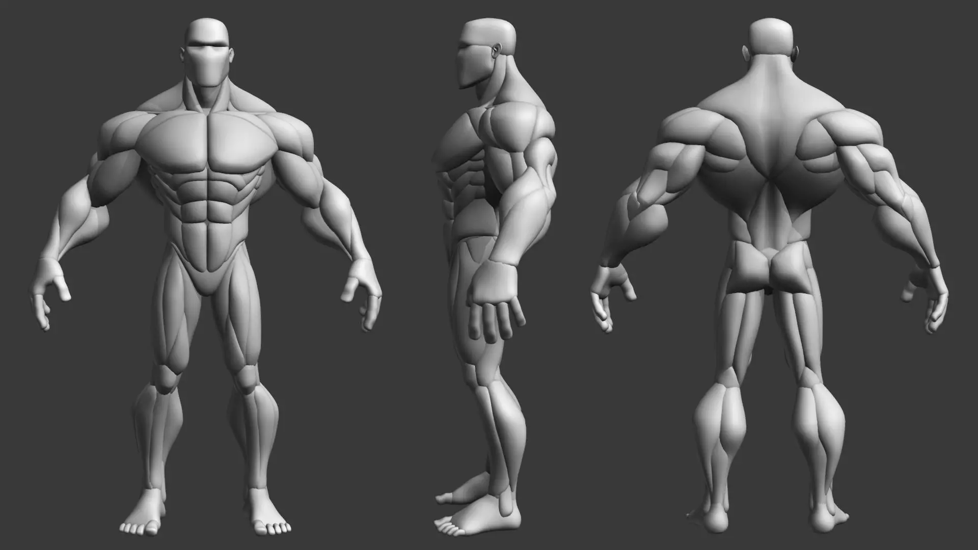 Stylized Anatomy Blockout Basemesh Male 1 3D model_5
