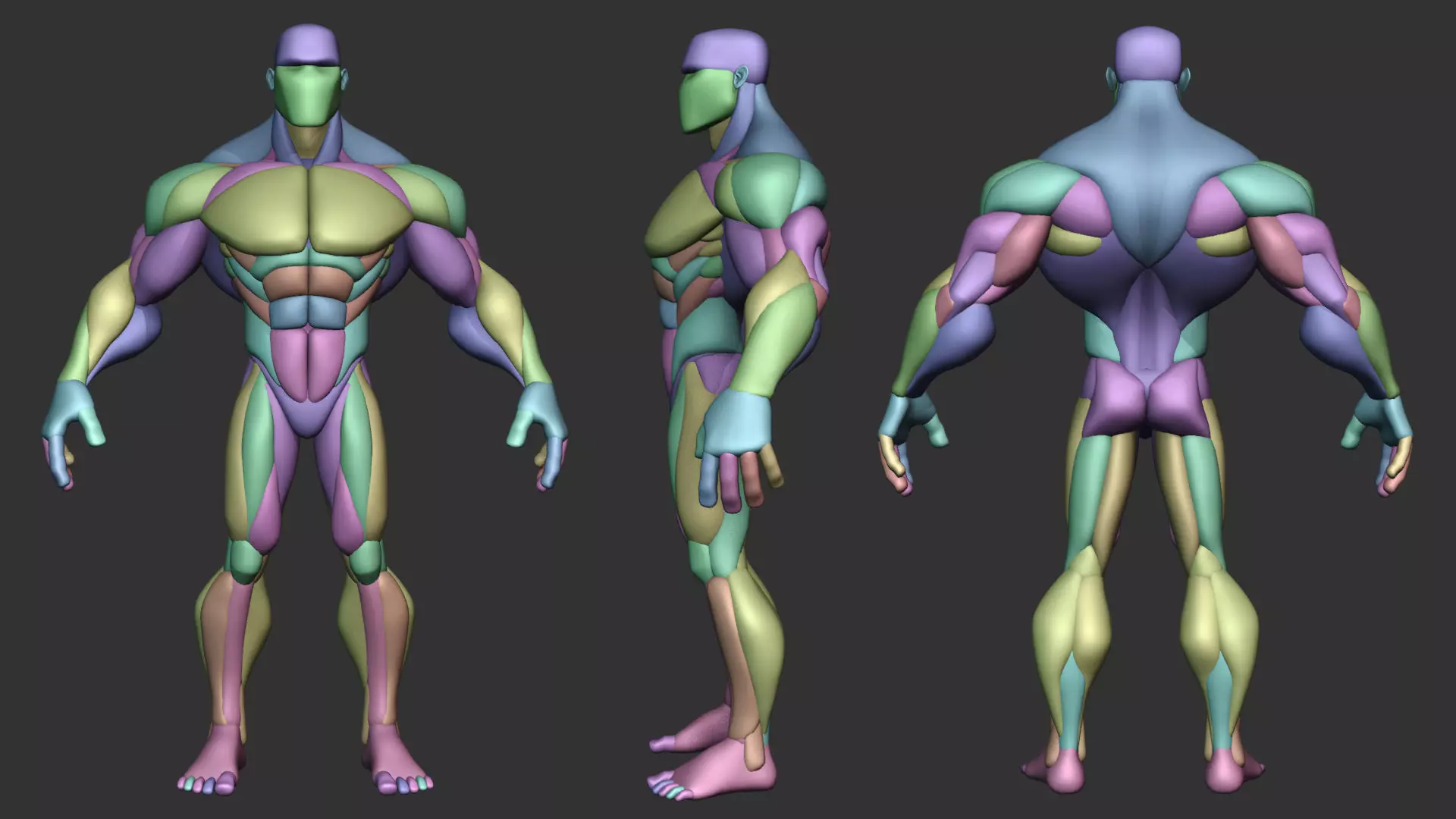 Stylized Anatomy Blockout Basemesh Male 1 3D model_1