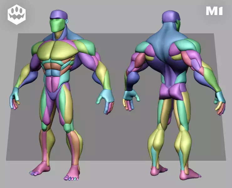 Stylized Anatomy Blockout Basemesh Male 1 3D model_0