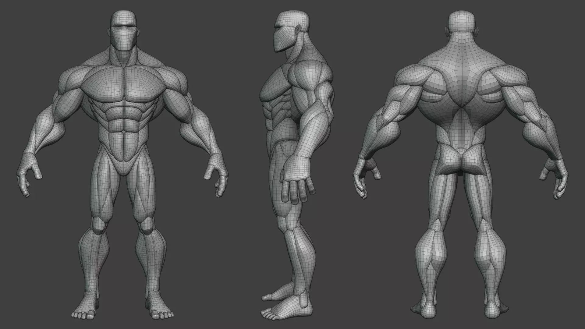 Stylized Anatomy Blockout Basemesh Male 1 3D model_3