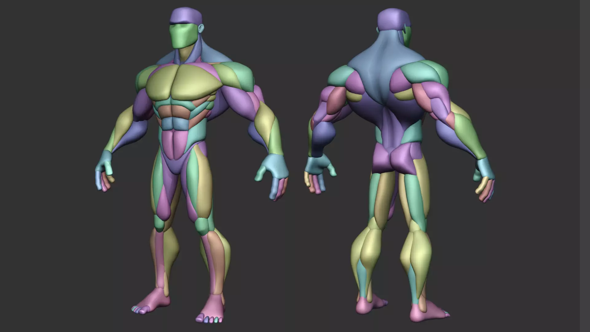 Stylized Anatomy Blockout Basemesh Male 1 3D model_2