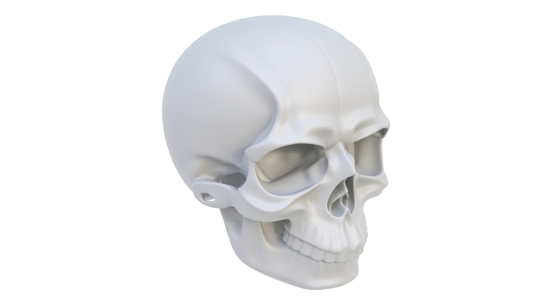 Decorative skull 3D model_3