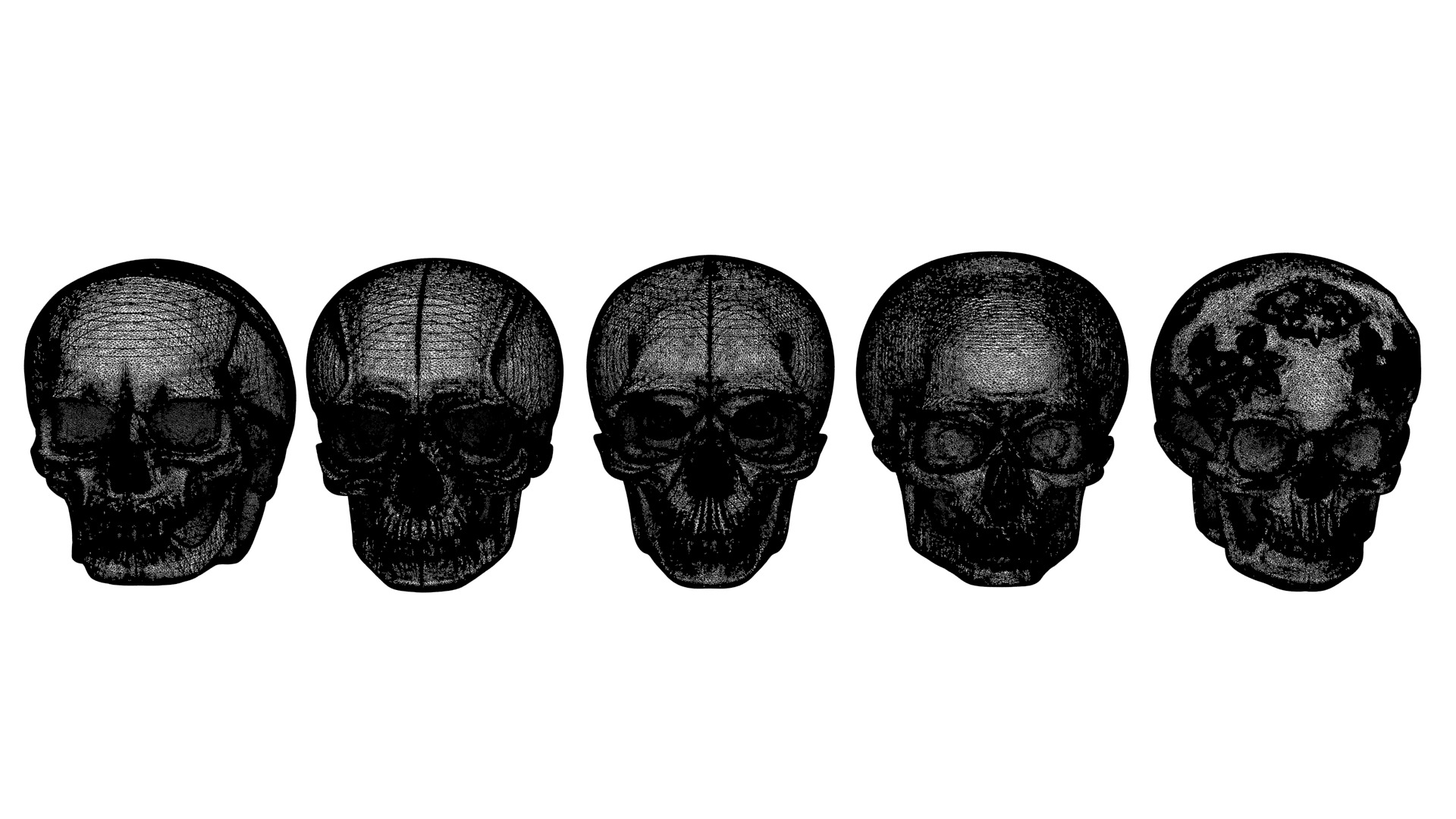 Decorative skull 3D model_1