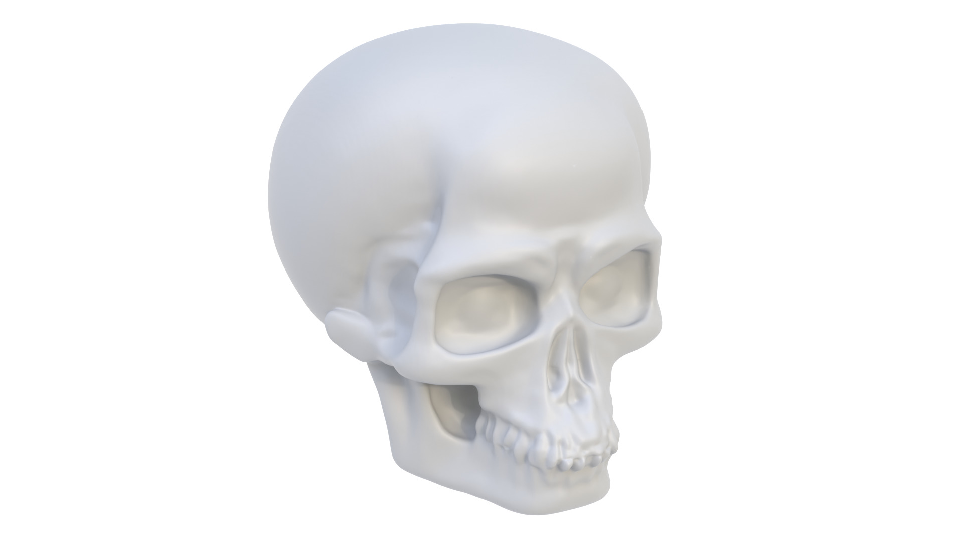 Decorative skull 3D model_5