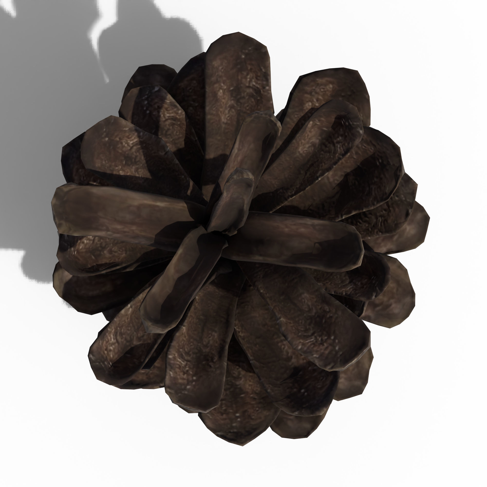 Pine Cone 3D model_8
