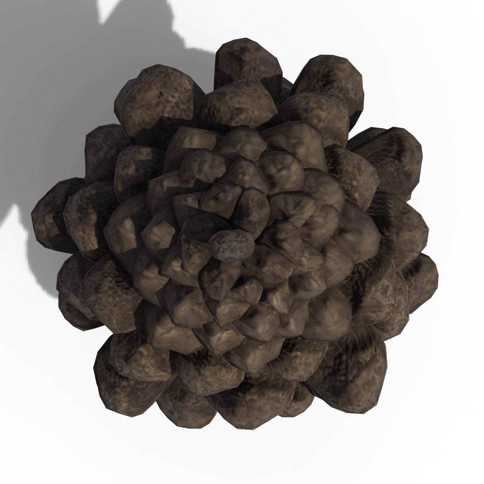 Pine Cone 3D model_9