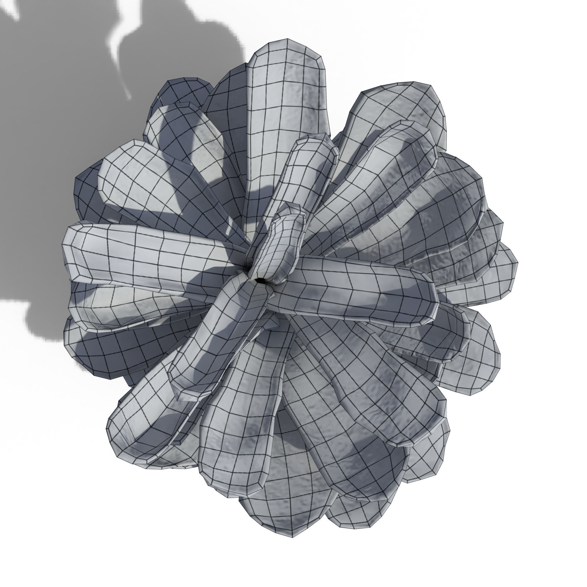 Pine Cone 3D model_11