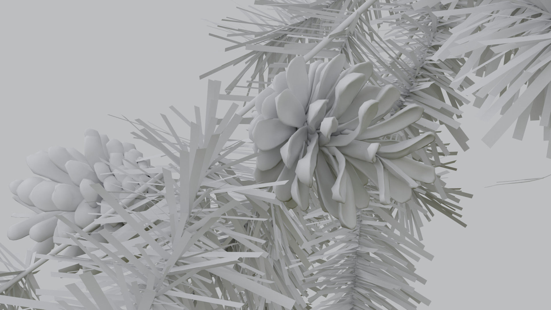 Pine Cone 3D model_15