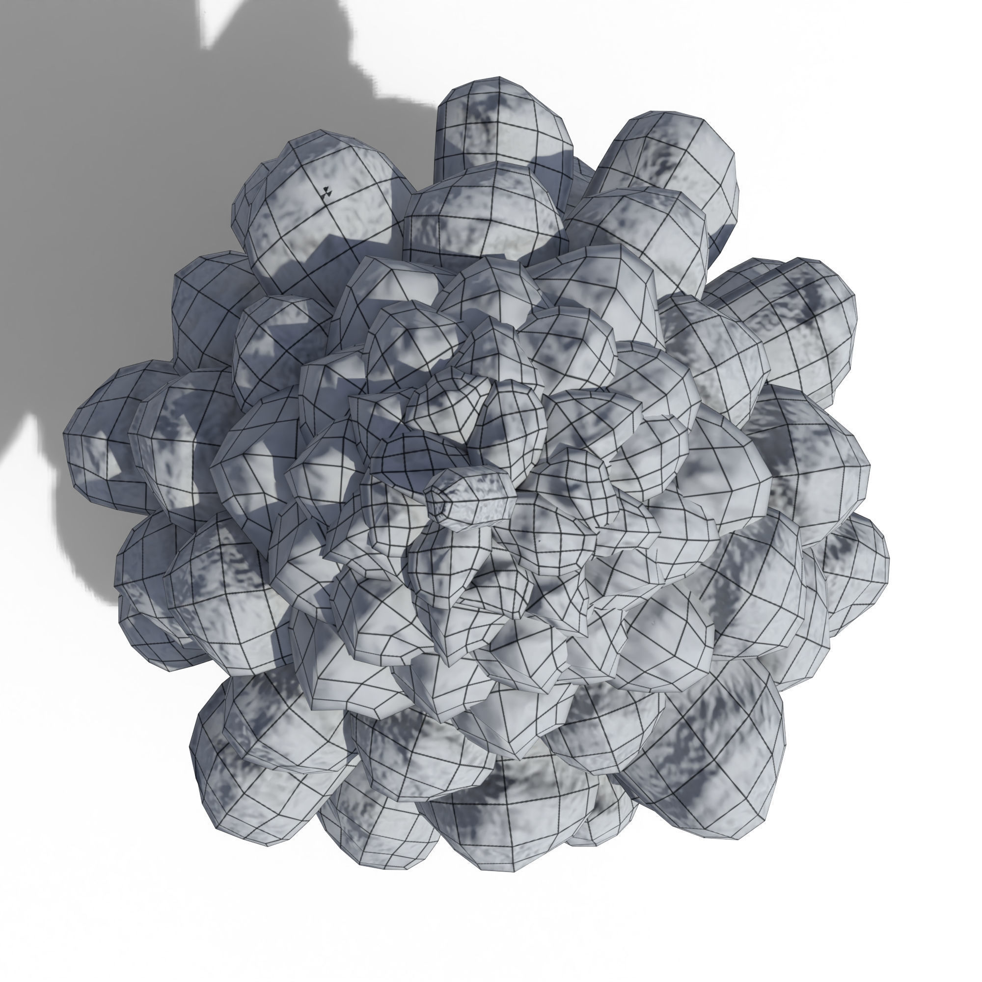 Pine Cone 3D model_12