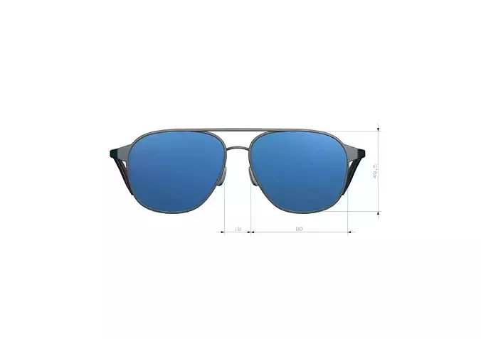 Sunglasses 3D print model