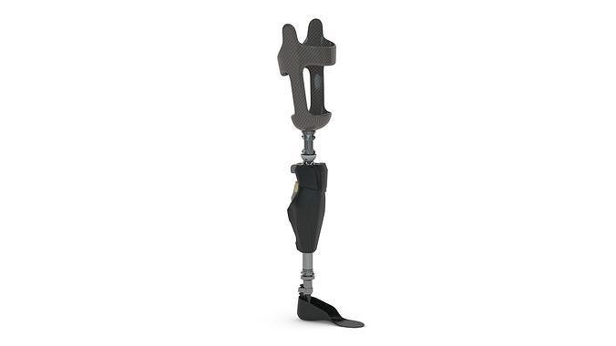 Prosthetic Leg 3D model