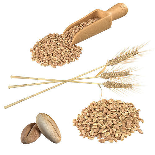 Wheat spike grain scoop and pile  Low-poly 3D model