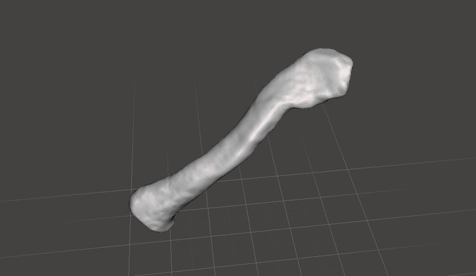 Human Collarbone - left- male 3D model