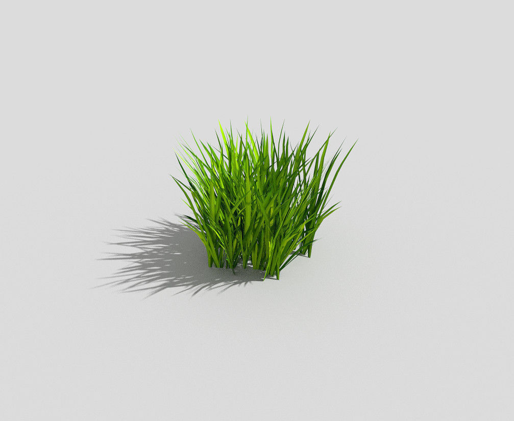 Grass Low-poly 3D model_2