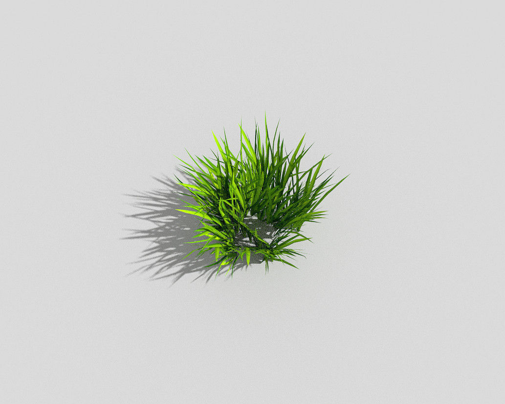 Grass Low-poly 3D model_5