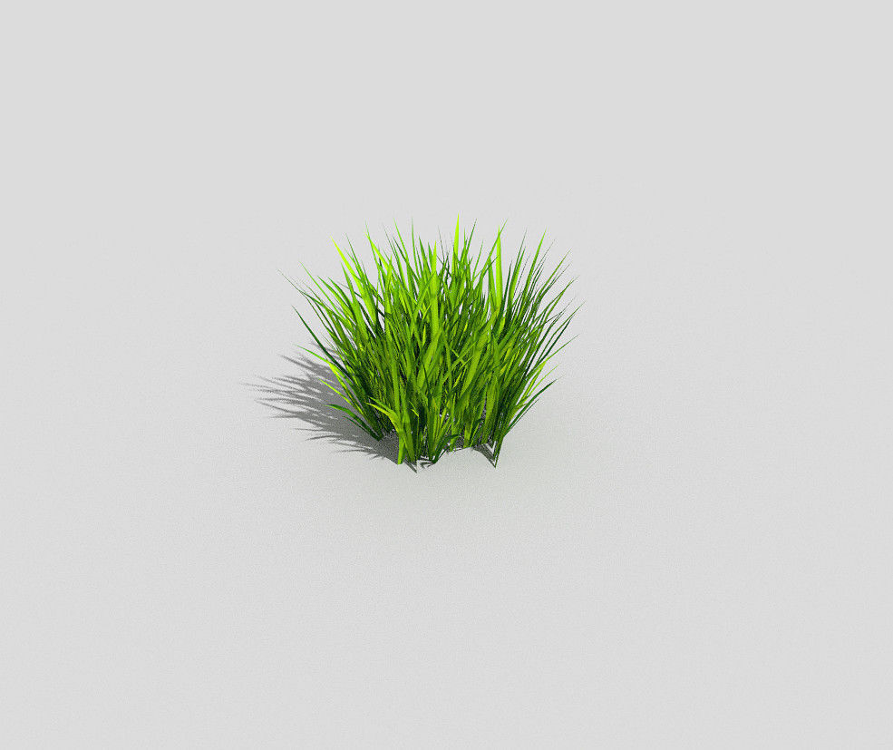 Grass Low-poly 3D model_3