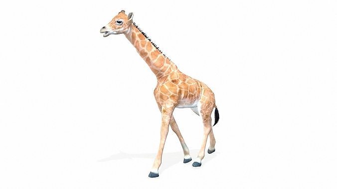 Giraffe Walk Animated Low-poly 3D model