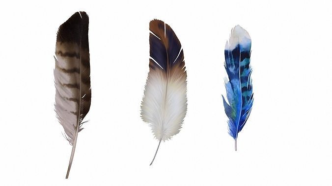 Feather Pack Low-poly 3D model