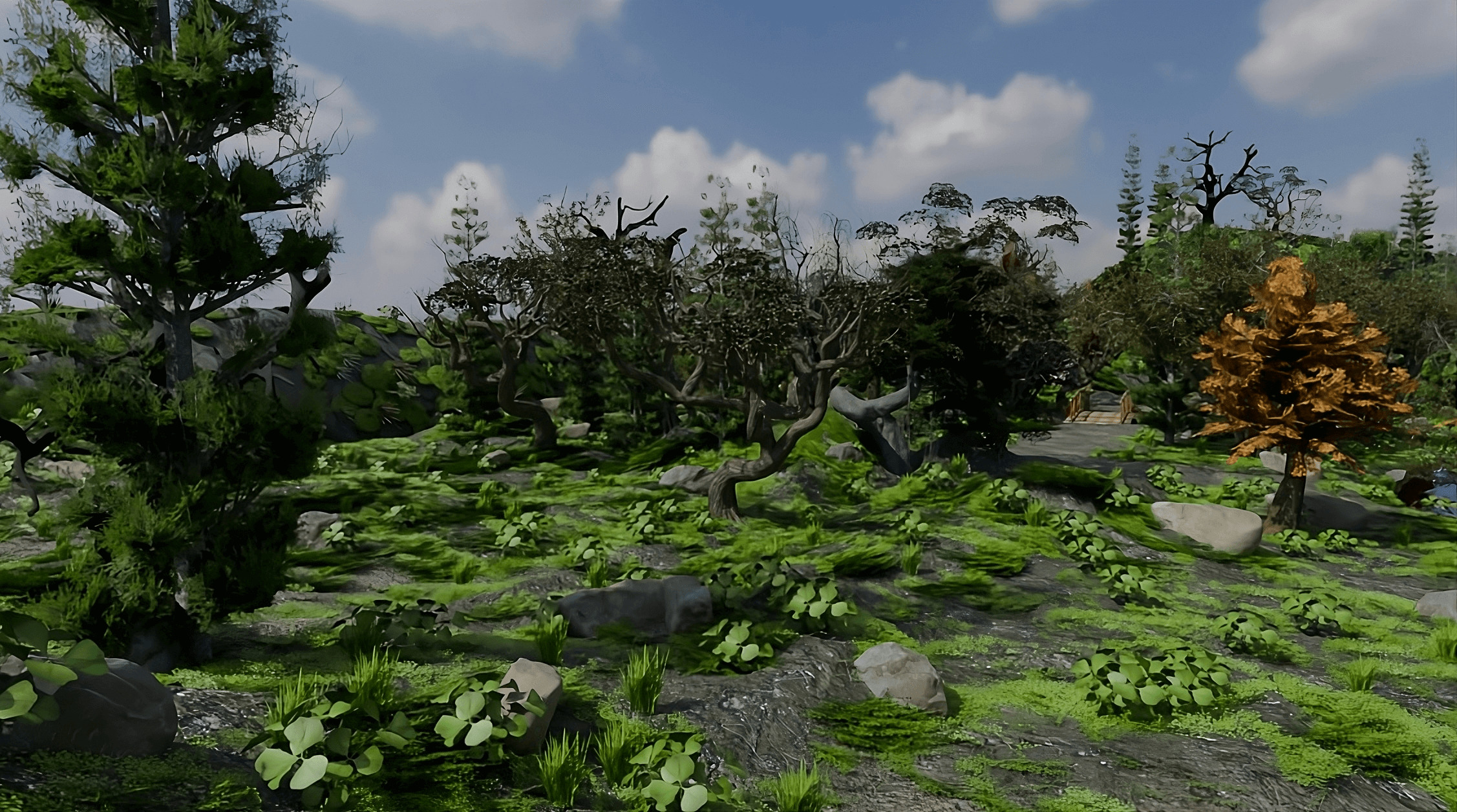 Realistic Forest Game Environment with 4 Linked Sectors 3D model_4