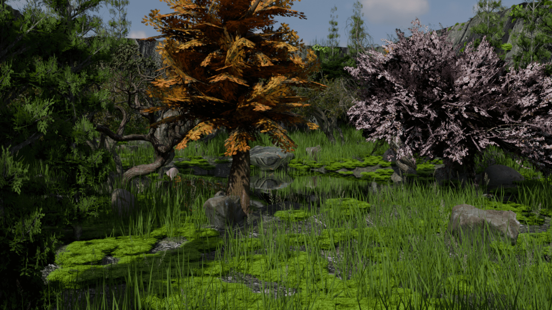 Realistic Forest Game Environment with 4 Linked Sectors 3D model_1